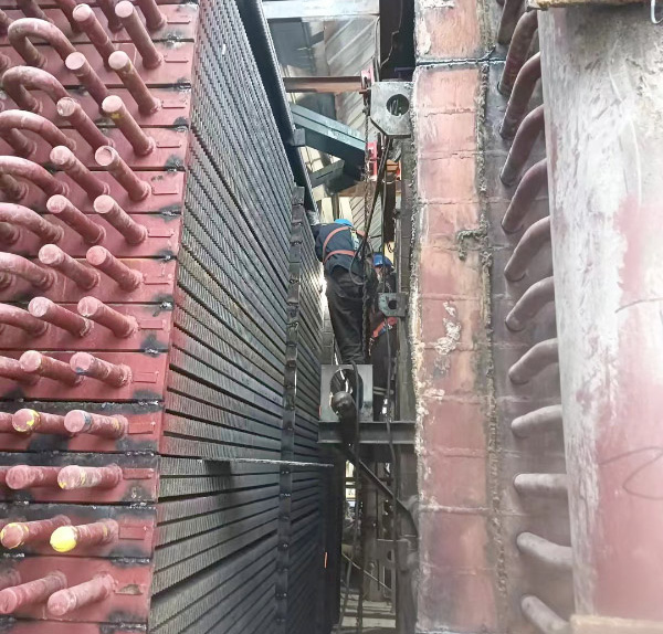 项目展示