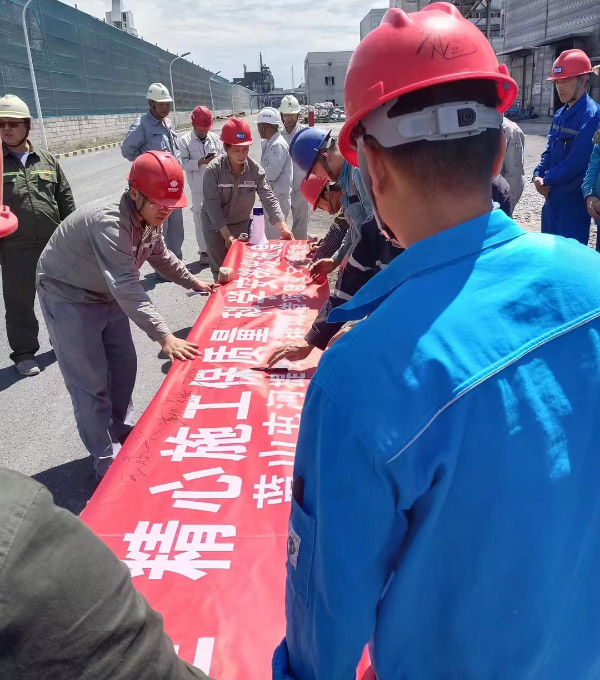 项目展示