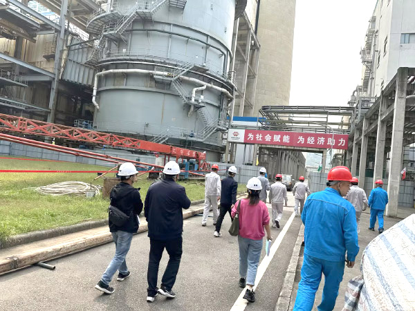 项目展示